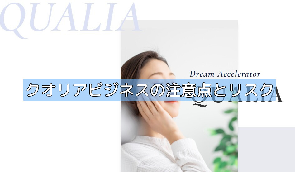 クオリアビジネスの注意点とリスクの画像