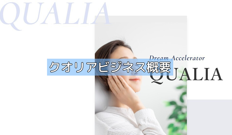 クオリアビジネスの概要の画像